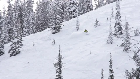 Elite skier cutting through fresh powder on woodsy slope Video stock 113233768