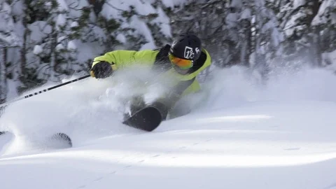 Elite skier cutting through fresh powder on woodsy slope Stock Footage 113233858