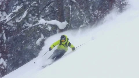 Elite skier cutting through fresh powder on woodsy slope Stock Footage 113233893