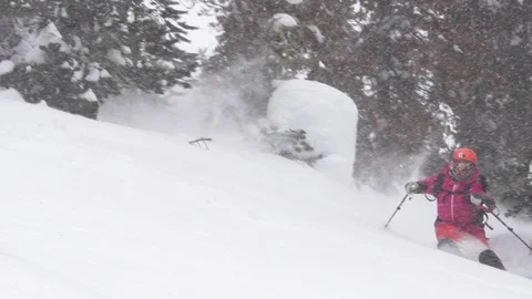 Elite skier cutting through fresh powder on woodsy slope in a snow storm Stock Footage 113233981