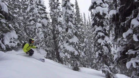 Elite skier cutting through fresh powder on woodsy slope in a snow storm Stock Footage 113234024