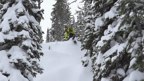 Elite skier cutting through fresh powder on woodsy slope Stock Footage 113234374