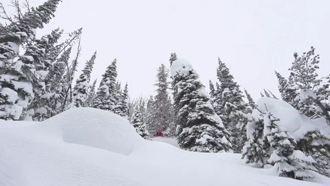 Elite skier cutting through fresh powder and spraying the camera with snow Stock Footage 113234506