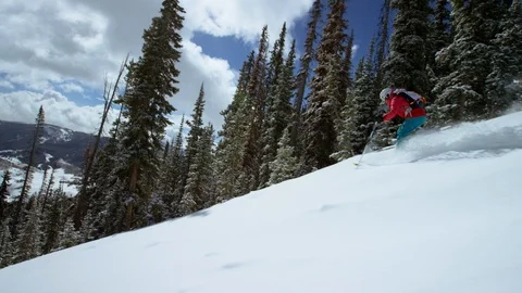 Elite skier cutting through fresh powder on woodsy slope Stock Footage 113263956
