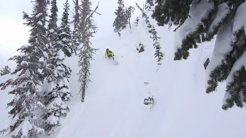 Elite skier cutting through powder snow on a woodsy slope Stock Footage 113234731