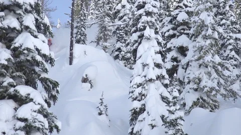 Elite skier cutting through powder snow on a woodsy slope Stock Footage 113234922