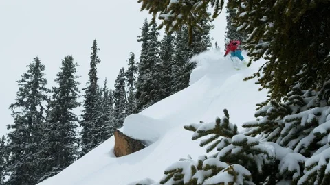 Elite skier cutting through powder snow on a woodsy slope Stock Footage 113263869