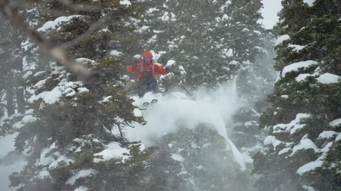 Elite skier jumping and gliding through trees on the snowy mountain slope Stock Footage 116745751