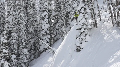 Elite skier jumping off a snowy cliff on a woodsy slope Stock Footage 113235196