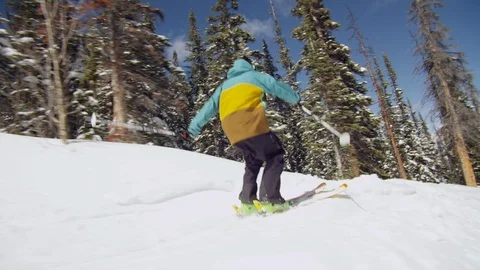 Elite skier jumping off of trail side jump and skiing backwards Stock Footage 113204261