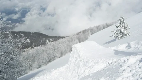 Elite skier jumping off a trailside jump into powder snow Stock Footage 113220126