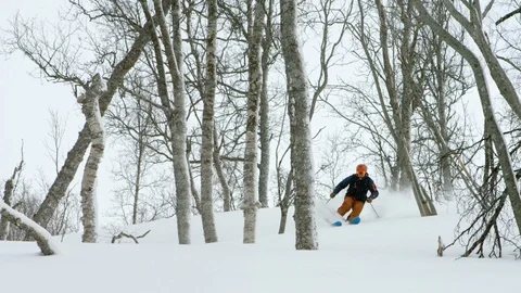 Elite skier skiing through bare trees in slow motion Stock Footage 116786611
