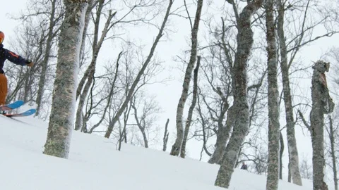 Elite skier skiing through bare trees in slow motion Stock Footage 116786623