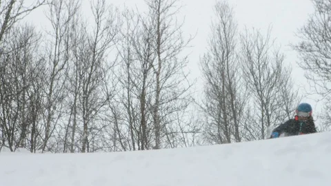 Elite skier skiing through bare trees in slow motion Stock Footage 116786648