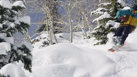 Elite skier skiing through a trailside mound of powder snow Stock Footage 113204412