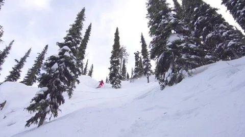 Elite skiers cutting through fresh powder on a woodsy slope Stock Footage 113235286