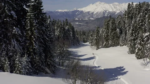 Elite snowmobiler rides Stock Footage 138488253