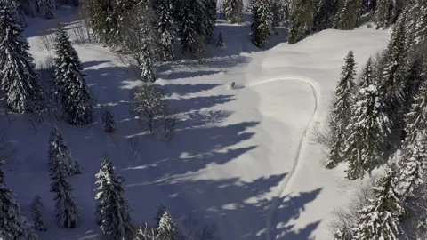 Elite snowmobiler rides Stock Footage 138488976