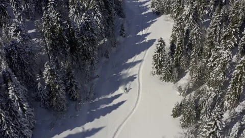 Elite snowmobiler rides Video stock 138490067