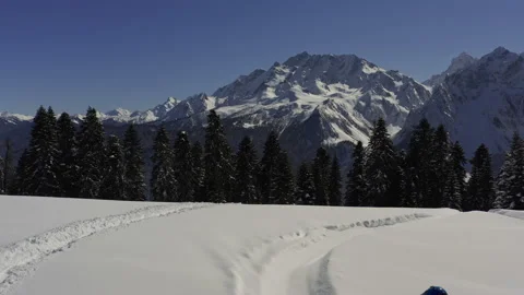 Elite snowmobiler rides Stock Footage 138490650