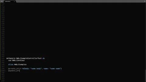 Elixir Programming Language Source Code Typing Effect. Elixir Programmer Tick Stock Footage 147974220