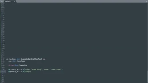 Elixir Programming Language Source Code Typing Effect. Elixir Programmer Tick Stock Footage 147974221