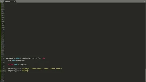 Elixir Programming Language Source Code Typing Effect. Elixir Programmer Tick Stock Footage 147974222