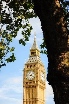 Elizabeth Tower framed by tree branches under clear sky in London Stock Photos