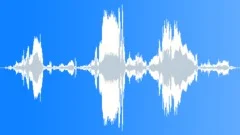 Elk Bugling Sound Effect