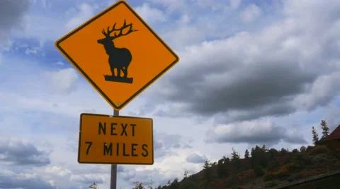 Elk Caution Sign on Mountain Road, 4K Stock Footage 56467749