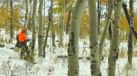 Elk Hunter Video stock 32008529