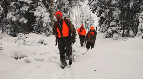 Elk Hunting Видео 31998462