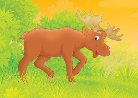 Elk Stock Illustration