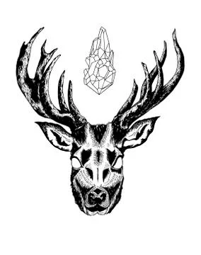 Elk Illustrazione stock