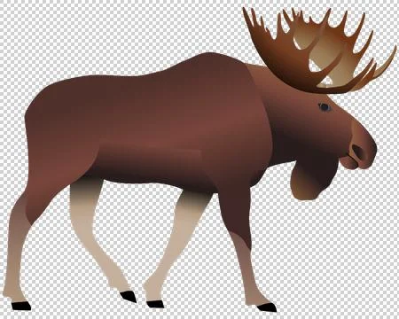 Elk Illustrazione stock
