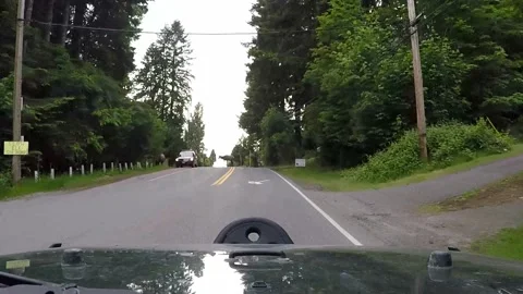 Elk on road Stock Footage 172454243