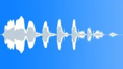 cow elk sounds audio cow elk sounds audio