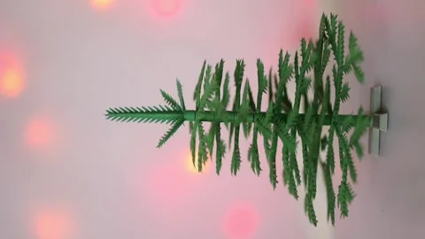 Elka Stock Footage 285232308