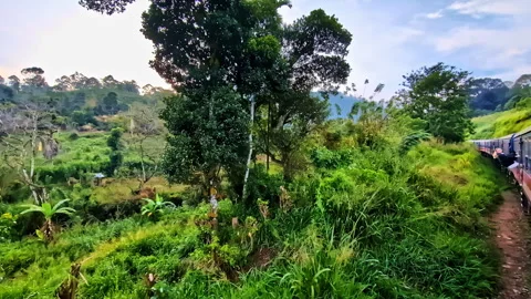 Ella to Kandy Train Ride Through Lush Sri Lanka Highlands Vídeo Stock 331308321