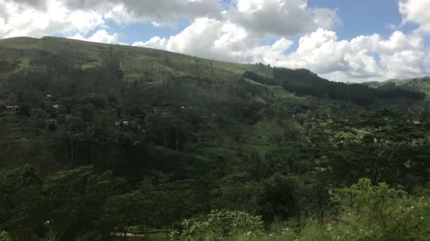 Ella, Sri Lanka, fields and meadows Stock Footage 132886371
