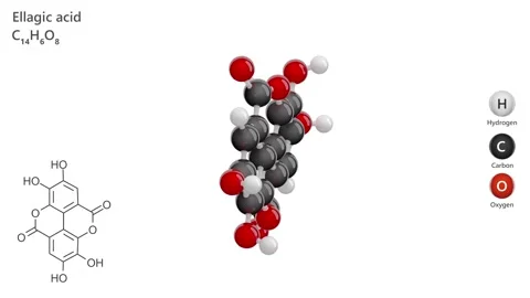 Ellagic Acid. 3D model of a molecule. C14H6O8. White background. 3D render 스톡 동영상 293049106