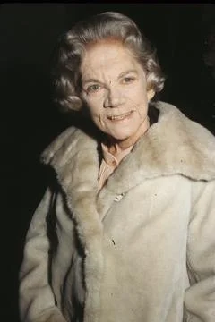 ELLEN CORBY Stock Photos