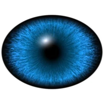 Elliptic blue iris, light reflection in eye Illustrazione stock
