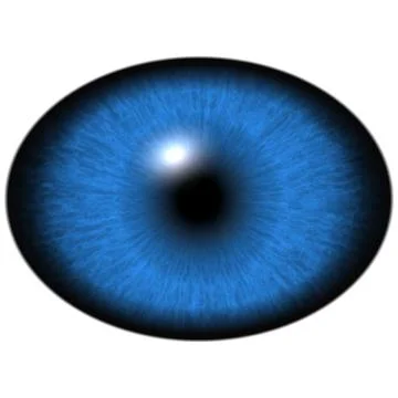 Elliptic blue iris, light reflection in eye Stock Illustration
