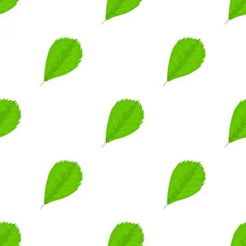 Elm leaf pattern seamless vector イラスト素材