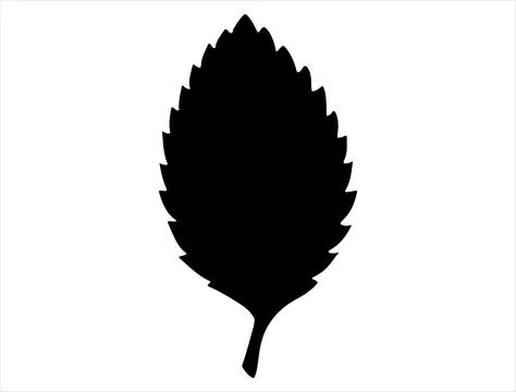 Elm leaf silhouette vector art Stock Illustration
