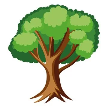 Elm tree foliage Stock Illustration