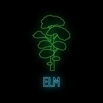 Elm tree glowing neon light outline illustration Stock Illustration
