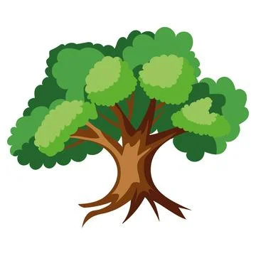 Elm tree greenery Stock Illustration