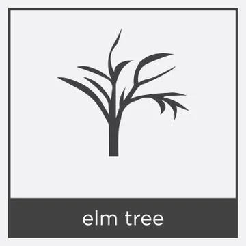 Elm tree icon isolated on white background Stock Illustration